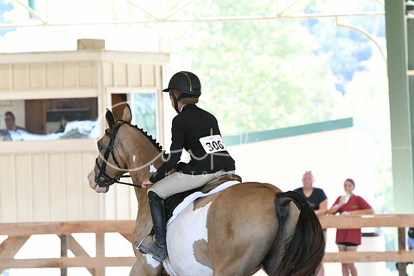 HSM_4347