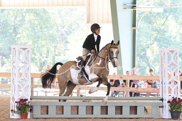 HSM_4351