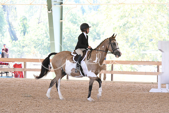 HSM_4352