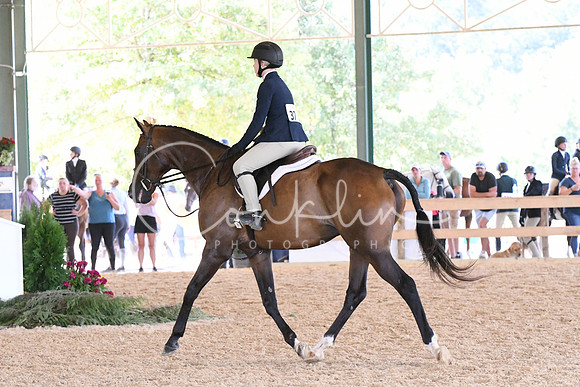 HSM_4407