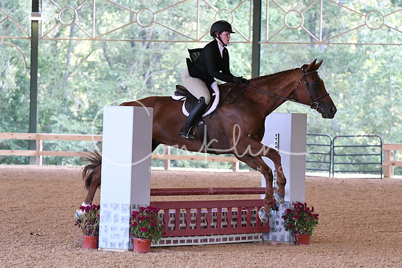 HSM_5516