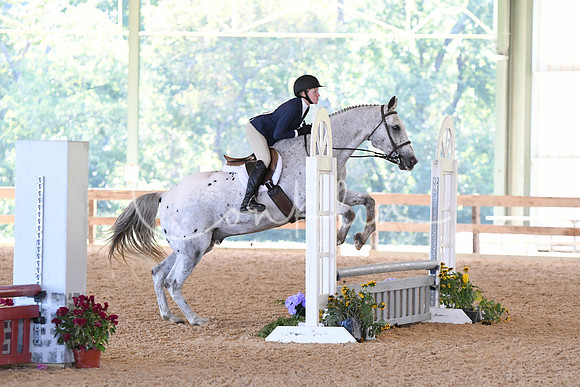 HSM_4249