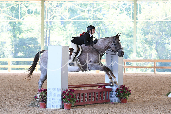HSM_4271