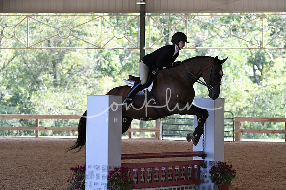HSM_5196