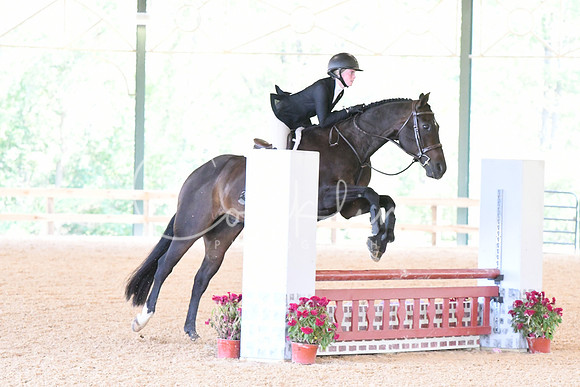 HSM_5490