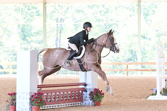 HSM_4768