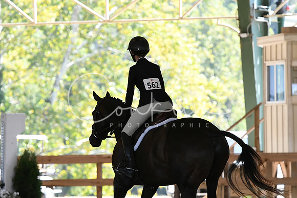 HSM_5202