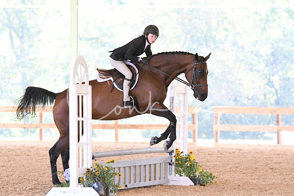 HSM_4413