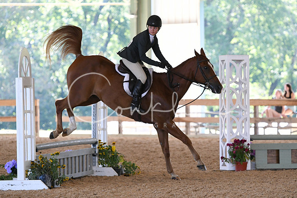 HSM_4278