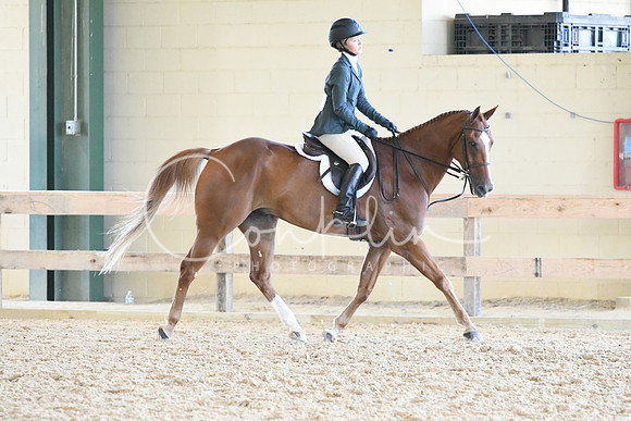 HSM_4290