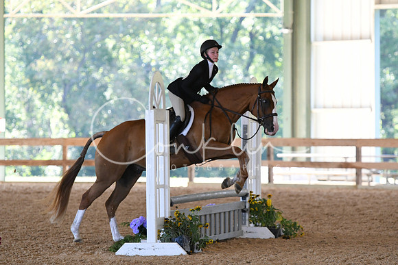 HSM_4193