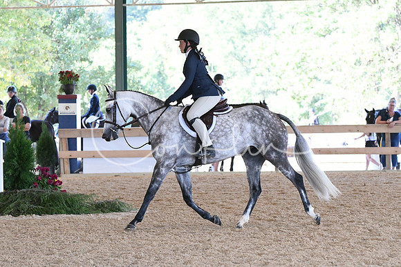 HSM_4103