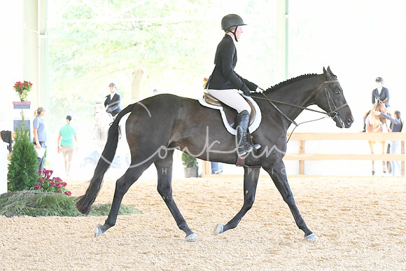 HSM_5467