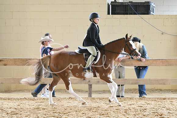 HSM_8471