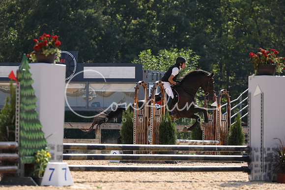 FA2A3113