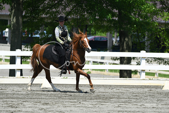 HSM_2828
