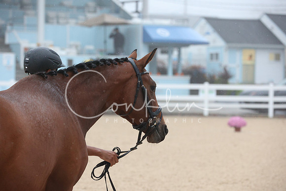 JRM_8682