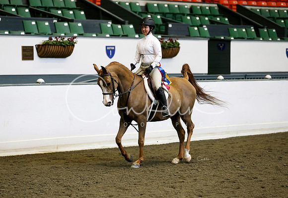 RJC18886-1
