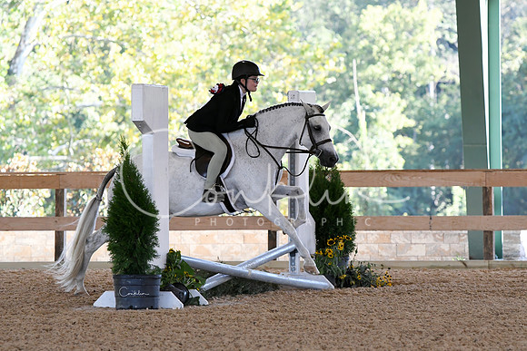 HSM_2959-1