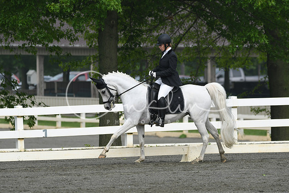 HSM_0973