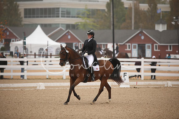 BW241431