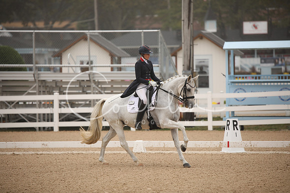 BW241504
