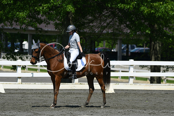 HSM_1251