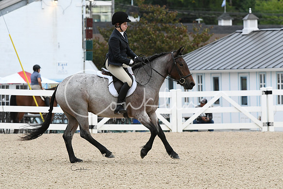 HSM_5017-1