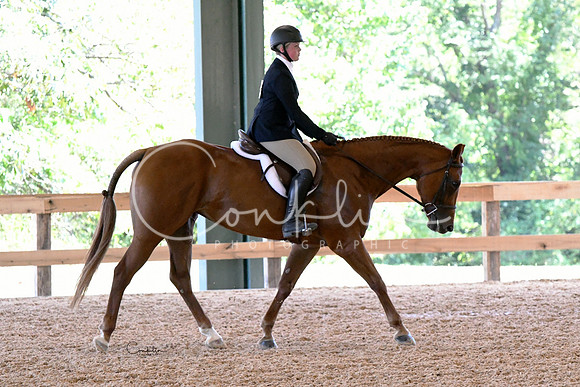 HSM_2195-1