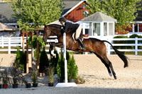 HSM_0201