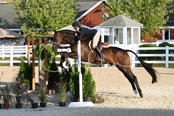HSM_0201