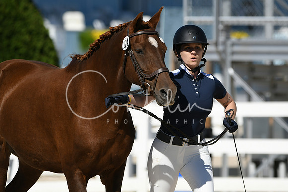 HSM_4617