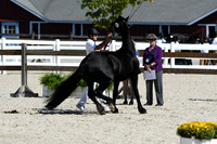 HSM_4751