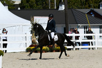 HSM_4811