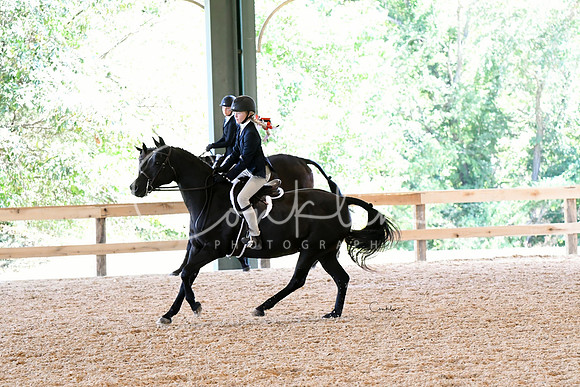 HSM_2410--1