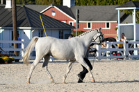 HSM_5537