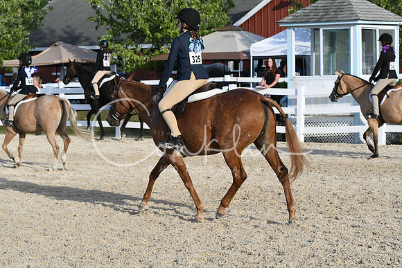 HSM_4531