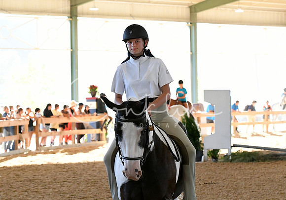 HSM_3123-1