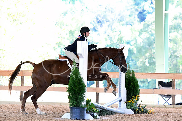 HSM_2654-1