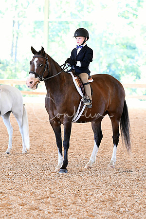 HSM_7466-1