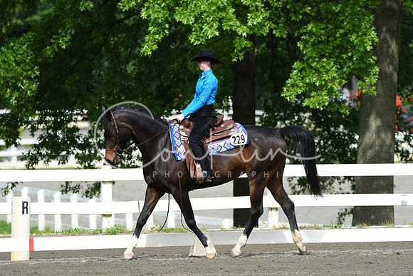 HSM_2524