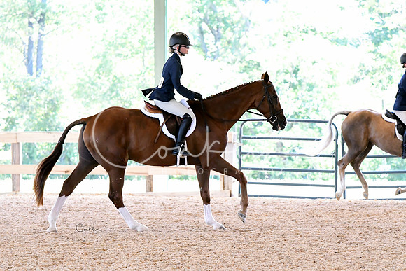 HSM_2069-1