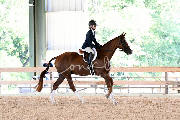 HSM_2943-1