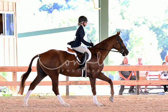 HSM_2946-1