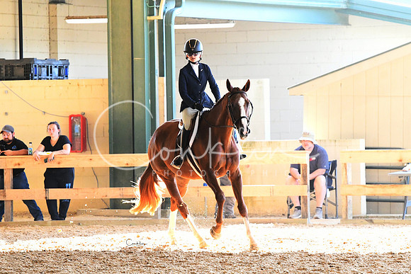 HSM_2951-1