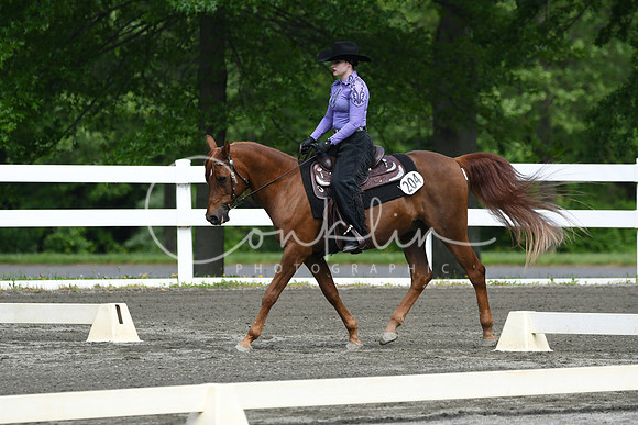 HSM_2619