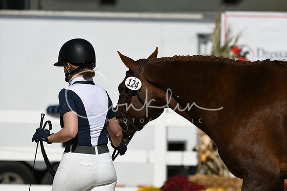 HSM_4608
