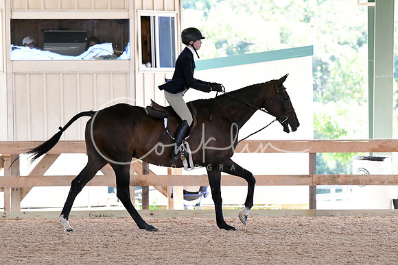 HSM_2617--1