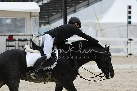 HSM_0211