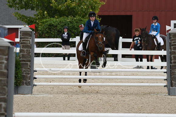 HSM_3318